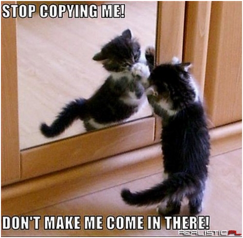 You're Asking for it!