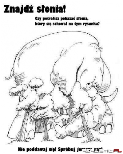 Znajdż słonia