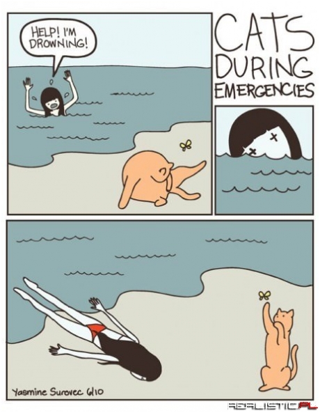 A Good Reason to Own a Dog