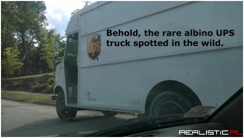 A Rare Specimen