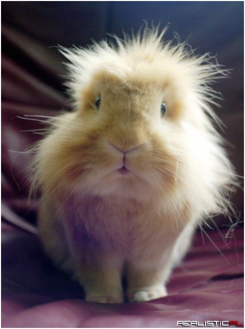 Bad hair day ;)