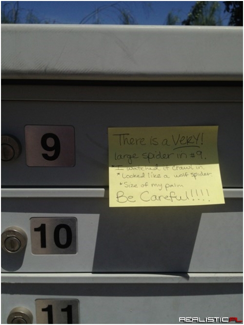 Being a Mailman Can Be Dangerous