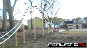 Best Day Ever