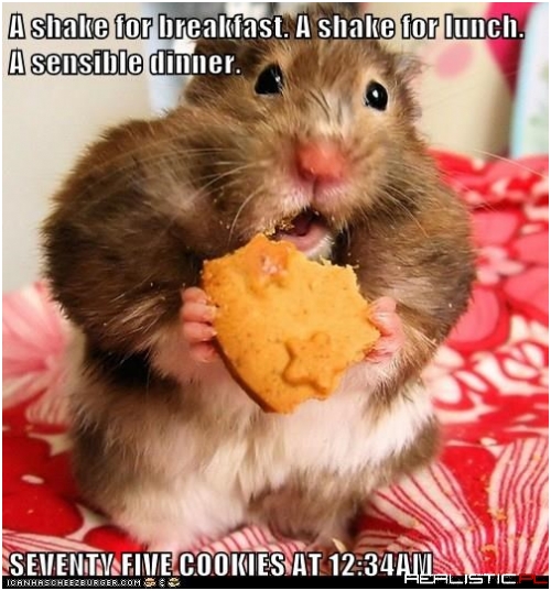 Better Hop On The Hamster Wheel