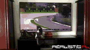 Cat is Really Into Race Cars