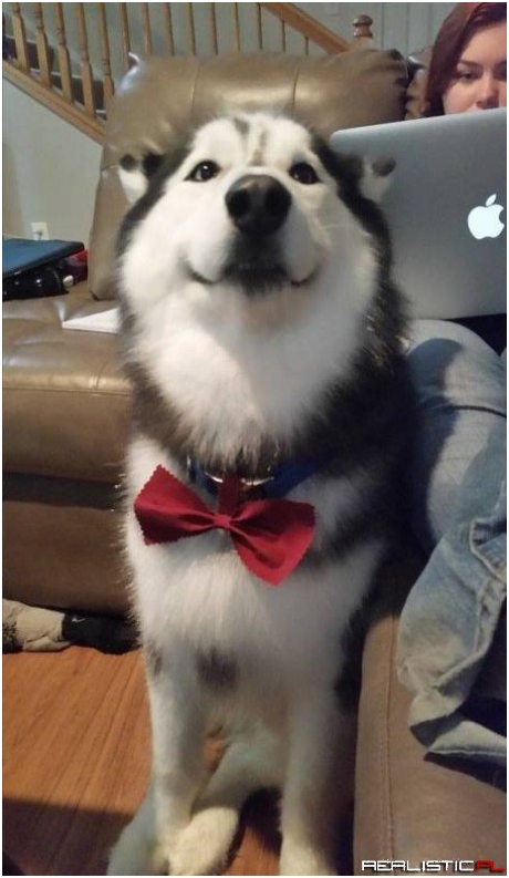 Dapper as fuck