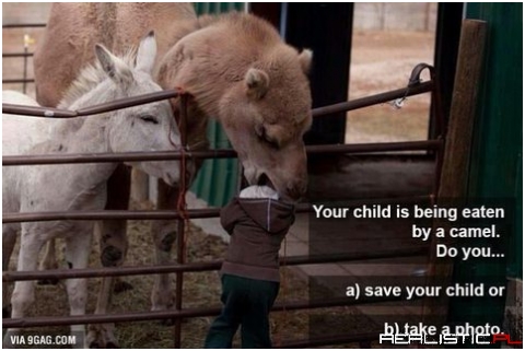 Definitely a photo - likes are worth more than some child