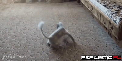 Dizzy Laser Dance