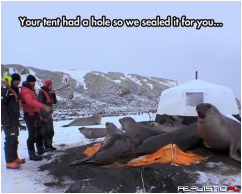 Don't Worry Scientists