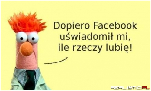 Dopiero Facebook ....