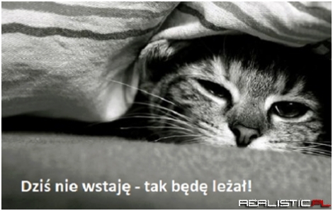 Dzisiaj nie wstaję