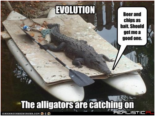 EVOLUTION