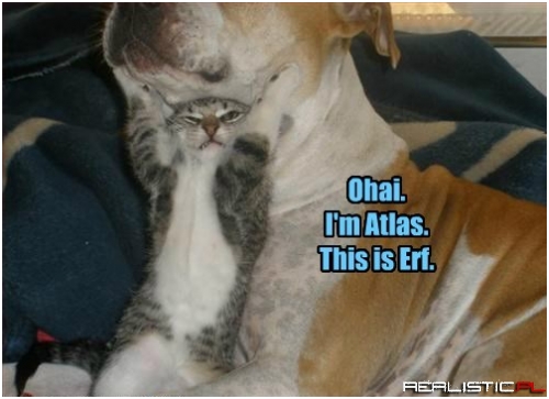 Feline Mythology