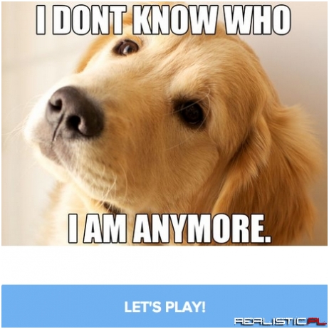 Find Out What Viral Video Dog You Are Here