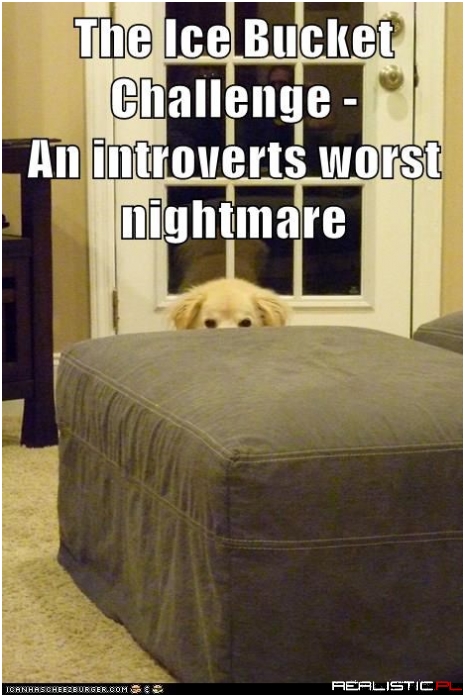 Forget the Ice Water...Get That Camera Out of My Face!