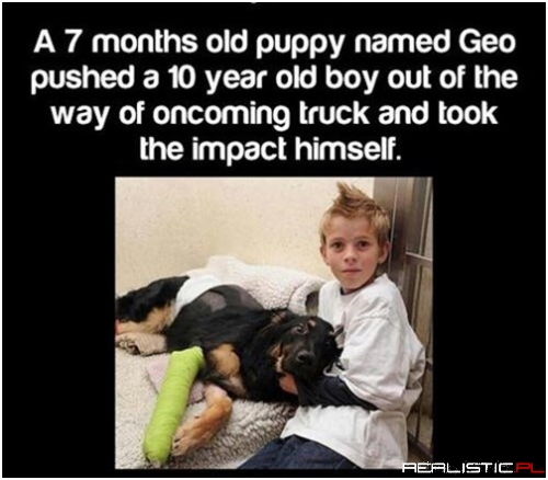 Go Give Your Dog A Hug