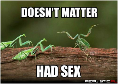 Had sex