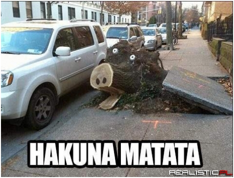 Hakuna matata