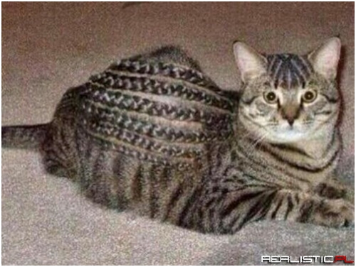 He is Not Amused