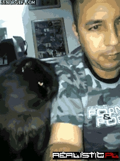 Hey, Give Me More Pets