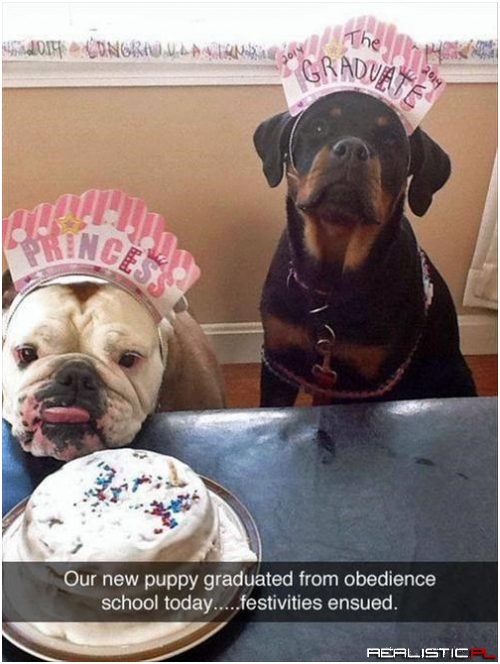 Hopefully Not Too Well Mannered To Party
