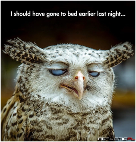 I should...