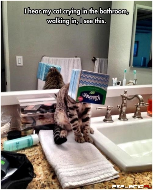 If I Fits Experiment Goes Horribly Wrong