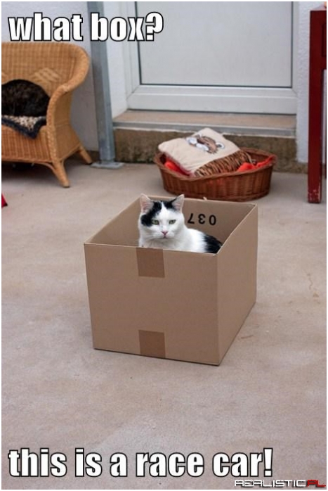 If I Fits, I Vrooms!