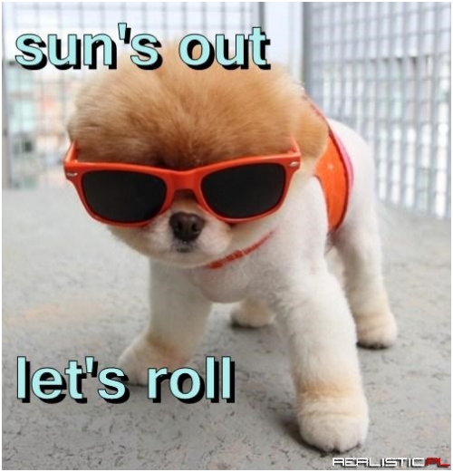 I'll Take it When I Can Get it!