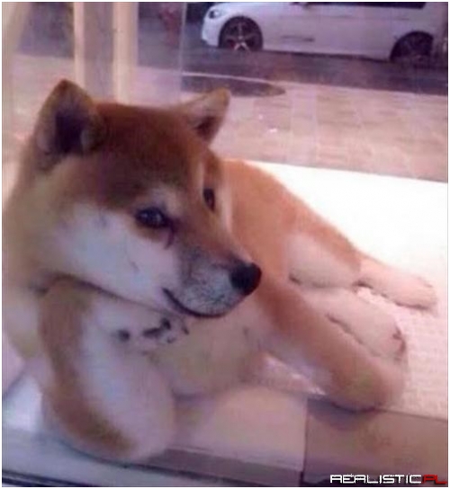 I'm Reddy for Mai Close Up