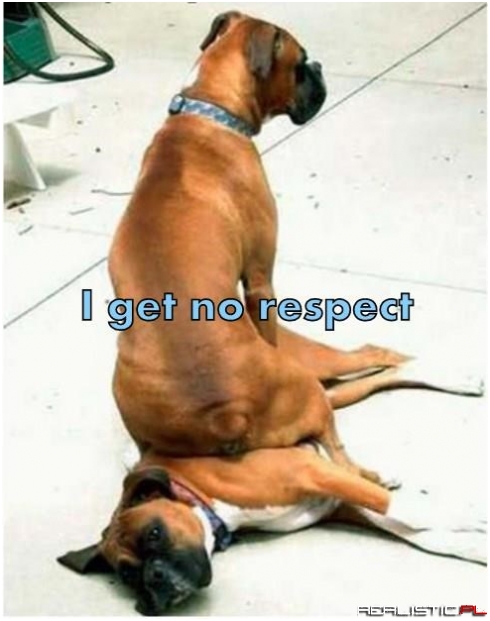 It's A Dog Seat Dog World Out There