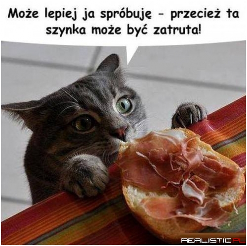 Ja spróbuje