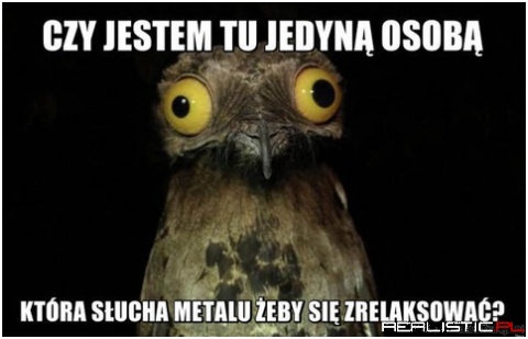 Jedyna osoba