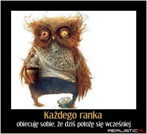 Każdego ranka ...