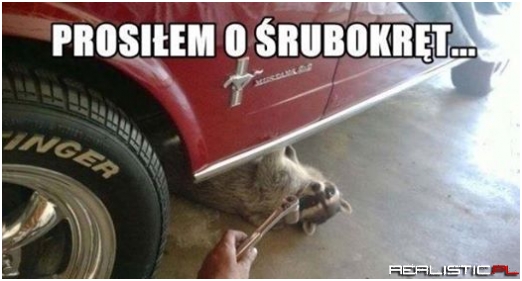 Kiepski pomocnik...