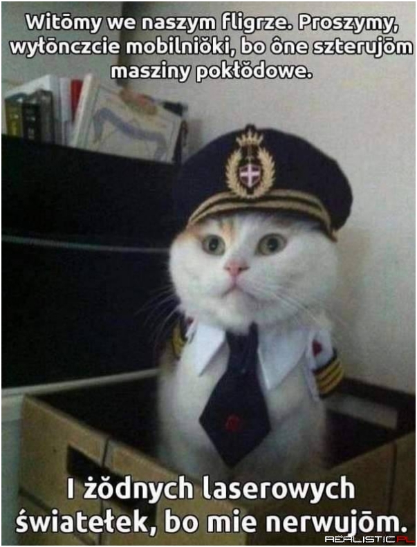 Laserowe światełka