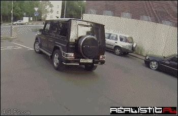Litter vigilante