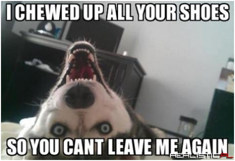 LOL