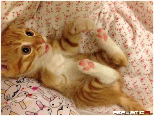 Look At These Pink Toes!