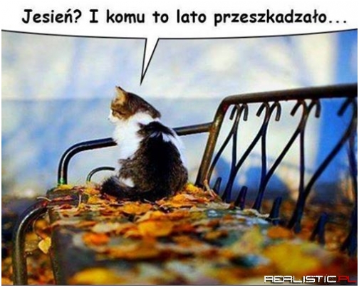 Mamy jesień!