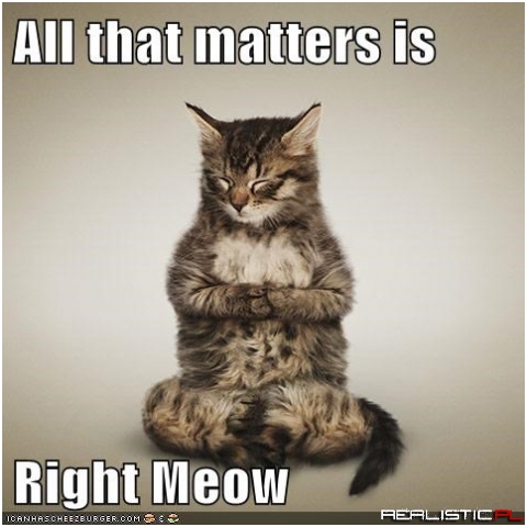 Mindfulness Kitteh Will Show You Teh Way