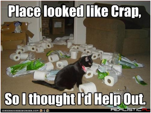 Mother's Little Wiper