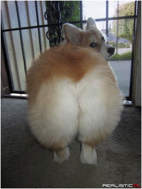 My Anaconda Don't Want None Unless You Got Fur Hun