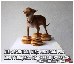 Nie ogarniam