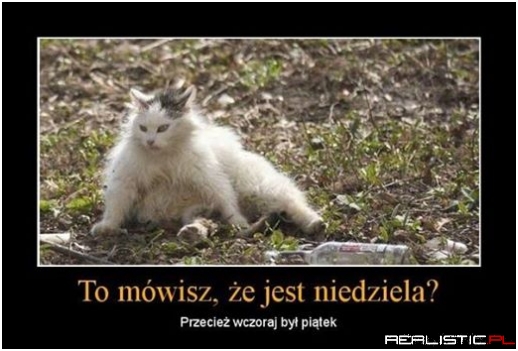 Niedziela
