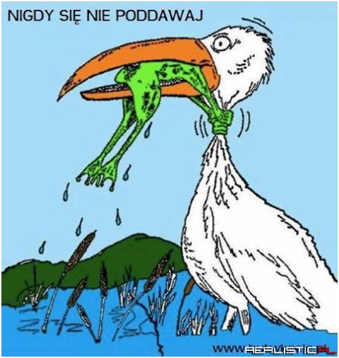 Nigdy się nie poddawaj