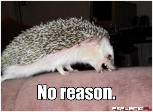 No reason