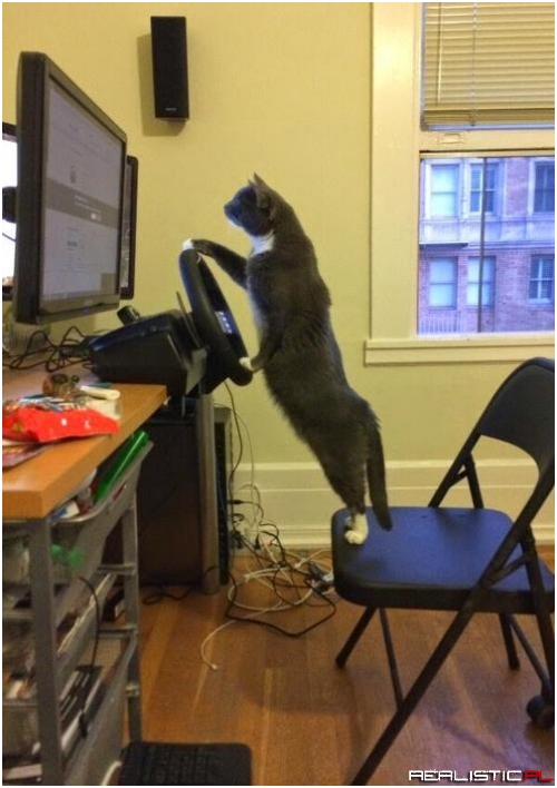 Playing