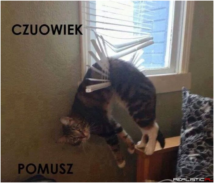 Pomocy