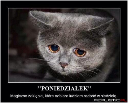 Poniedziałek